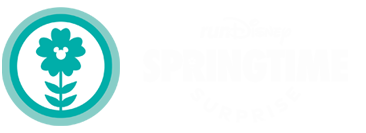 runDisney Springtime Race